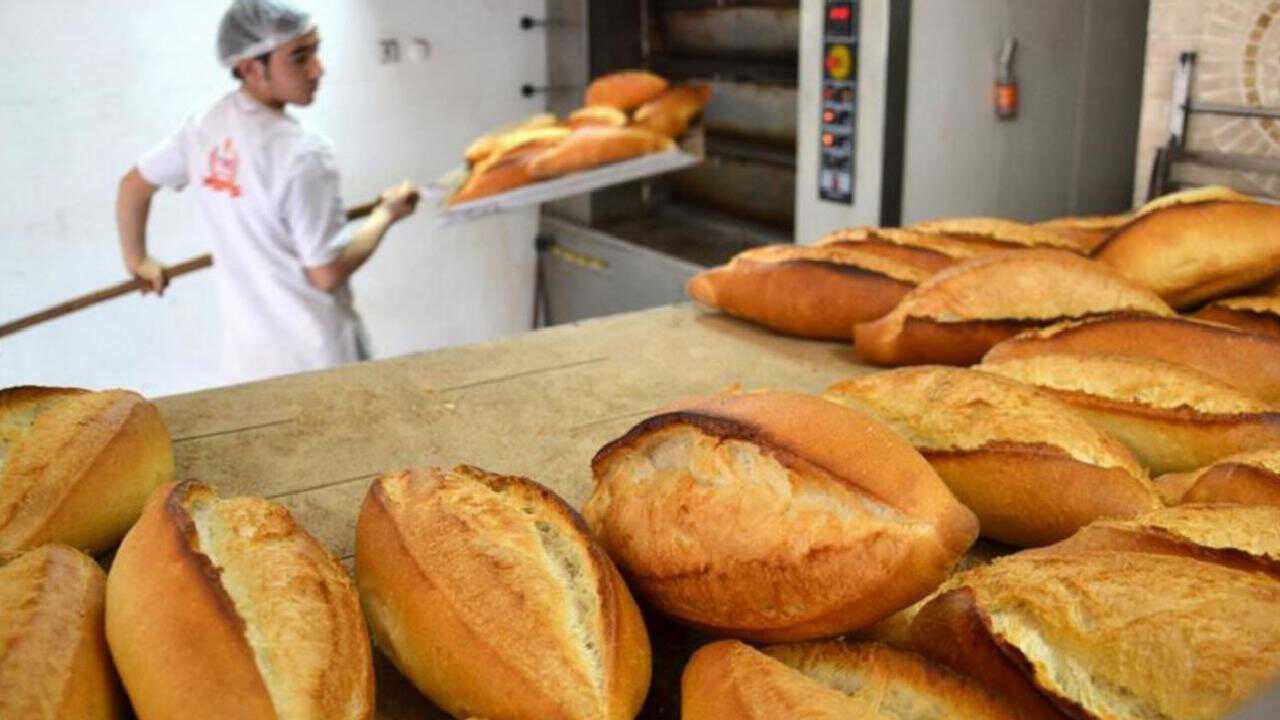 Hollanda’da 2 milyar euroluk yiyecek çöpe atılıyor