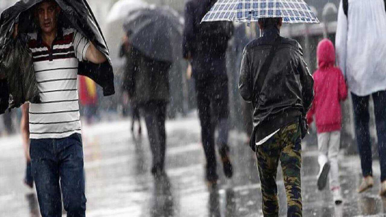Hollanda’da trafik felç oldu: Şiddetli yağmur, kazalar ve kuyruk