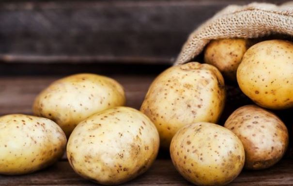 Hollanda’dan Türkiye’ye giden tonlarca patates virüslü çıktı