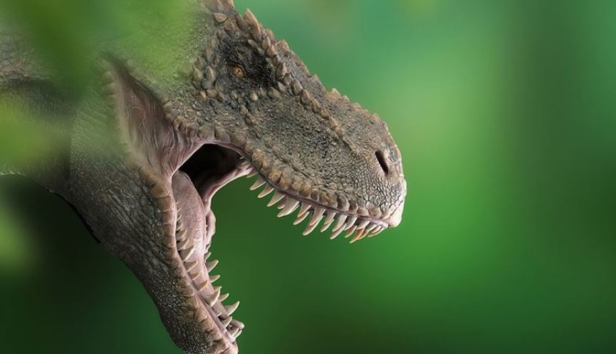 Avustralya’da dinozor kafatası fosilinin tamamına yakını bulundu