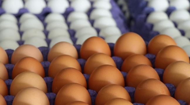 Uzmanlardan ‘hayati’ yumurta uyarısı: Tüketmeden önce bunu yapıyor musunuz?
