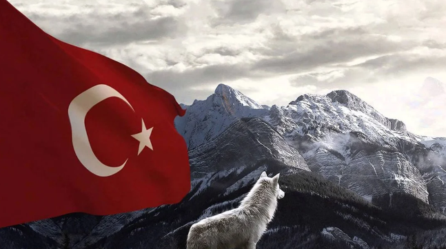 Türk Kimliği…