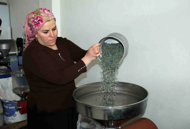 Kadın girişimci menengiç kahvesini önce misafire ikram etti sonra Hollanda ve dünyaya açıldı