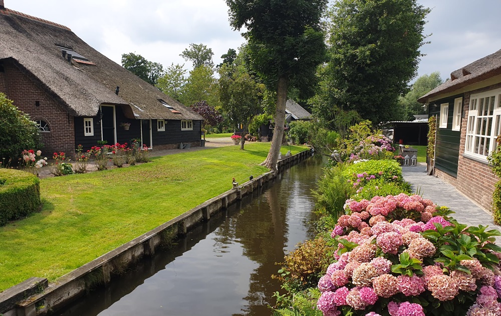 Hollanda’da yağmurla çimenler yeşerdi ama toprak altı hâlâ kuru