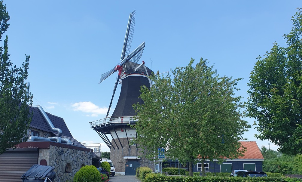 hollanda-harita-yel-degirmeni-2024-1