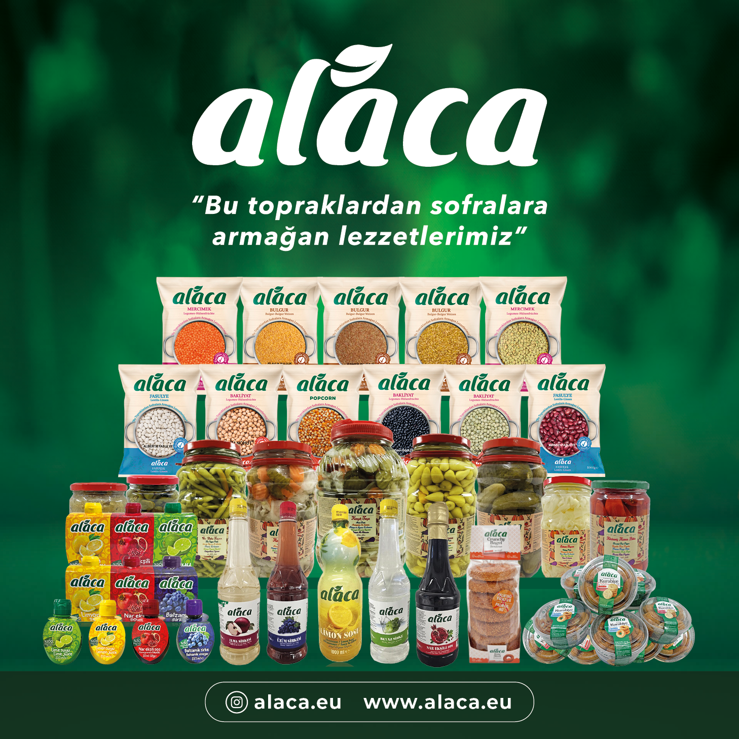 ALACA