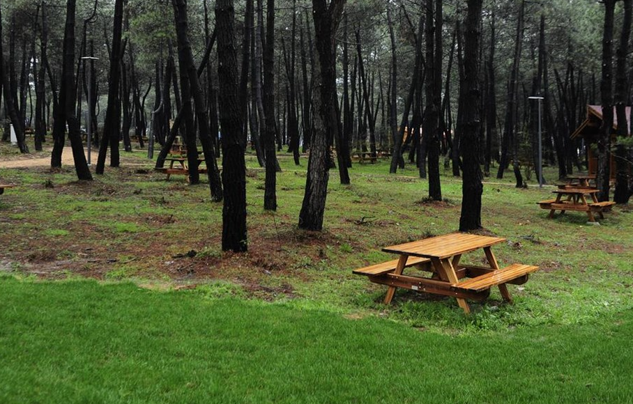 Hollanda’da bir parkta güpegündüz bir kadına saldırı