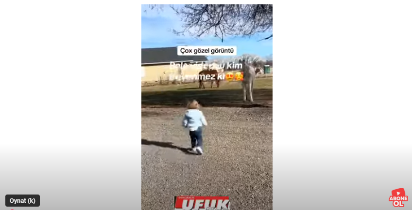ÇOCUKLARIN VE HAYVANLARIN DOSTLUĞU