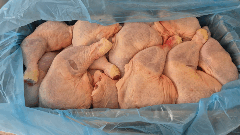 tavuk-plic-but-2025-1