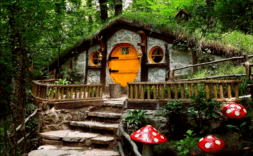 ORMANYA’YI SİZLER İÇİN GEZDİK (BKM HOBBİT EVLERİ)