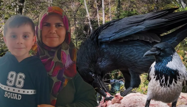 aci-kayip-kastamonu-celik-ailesi-2025