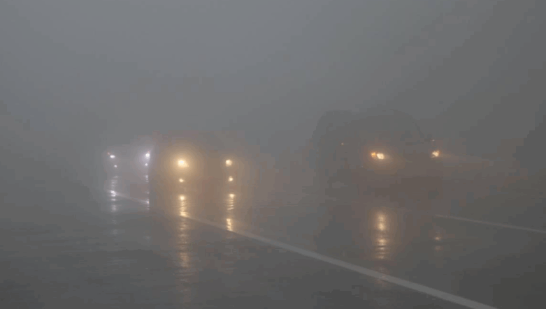 Hollanda’da neredeyse tüm ülkede sis alarmı: Görüş mesafesi 50 metre