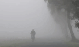 İngiltere’de yoksul mahalleler en kirli havayı soluyor