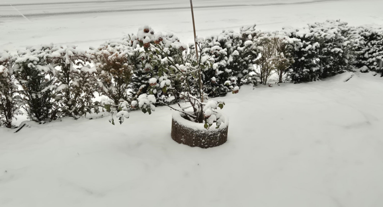 Basit bir oyun trajediye dönüştü: Hollanda’da kartopu tartışması can aldı