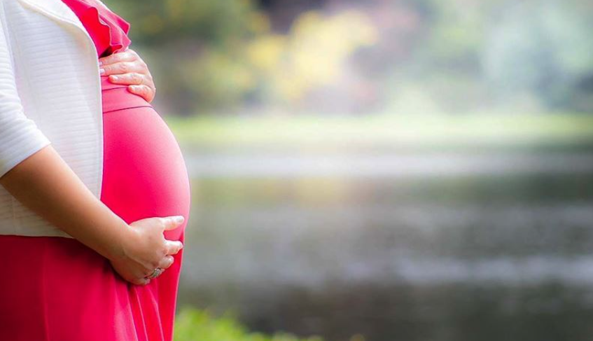 Hollanda kabinesi, tartışmalı “doğum izni cezasına” alternatif arıyor