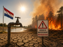 hollanda-kuraklik-2026-1