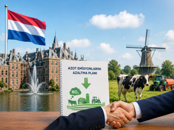 Hollanda’dan çiftlikleri etkileyecek yeni azot kararı