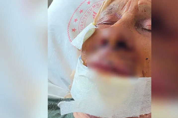 Karısını öldürüp 15 yıl hapis yatan gurbetçi bu kez de 85 yaşındaki annesini dövdü
