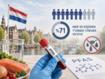 hollanda-pfas-kan-yz-2026