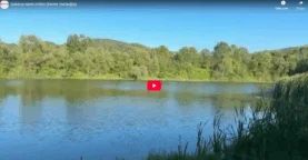 Sakarya Nehri Arifiye (Ekrem Hatipoğlu)